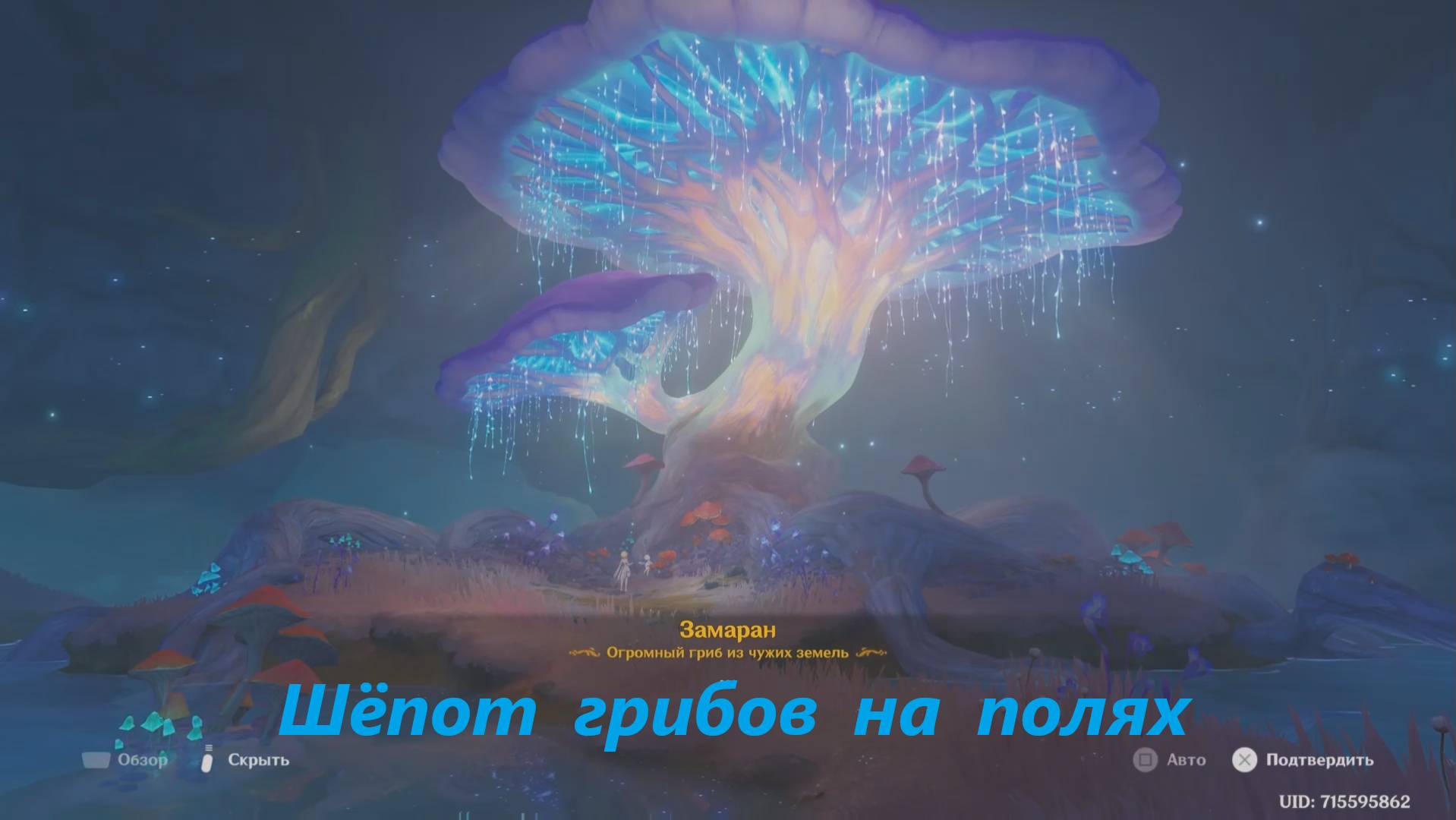 Загадка грибного царства (3) Хроники племени удела благодатных земель. Вареса. Genshin Impact