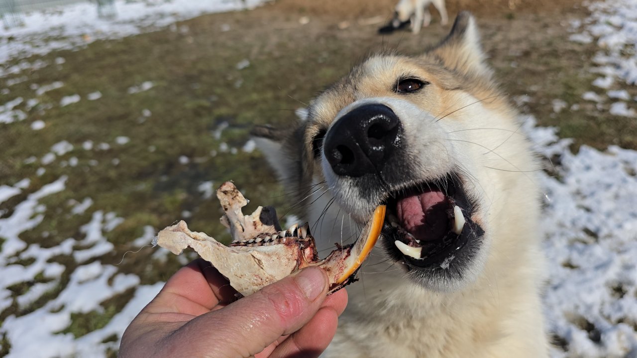 Ужин на завтрак