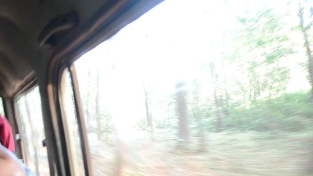 Дорога по джунглям на водопад Дудхсагар!ГОА!