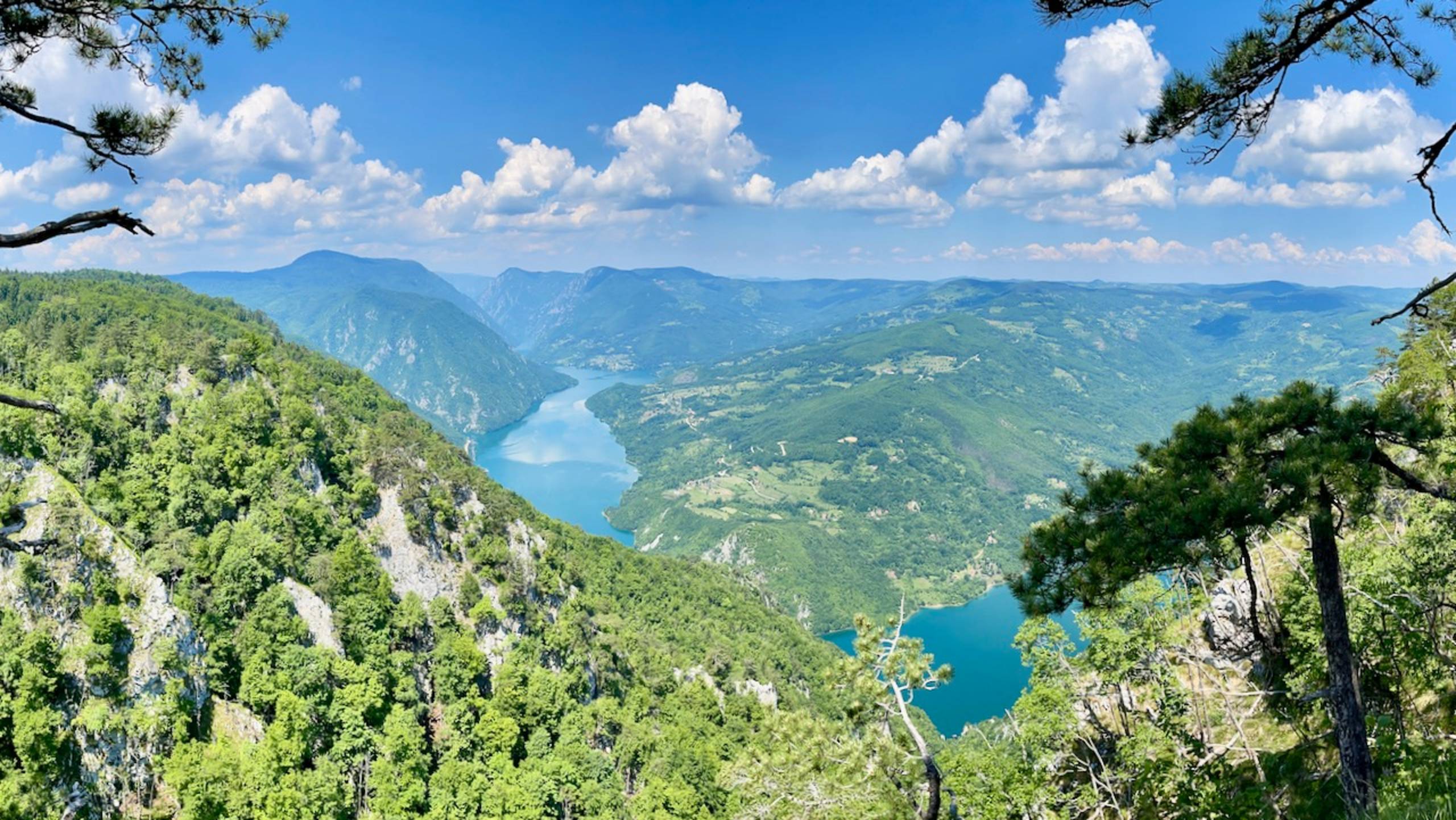 Парк Тара - достопримечательность Сербии, которую совершенно невозможно пропустить