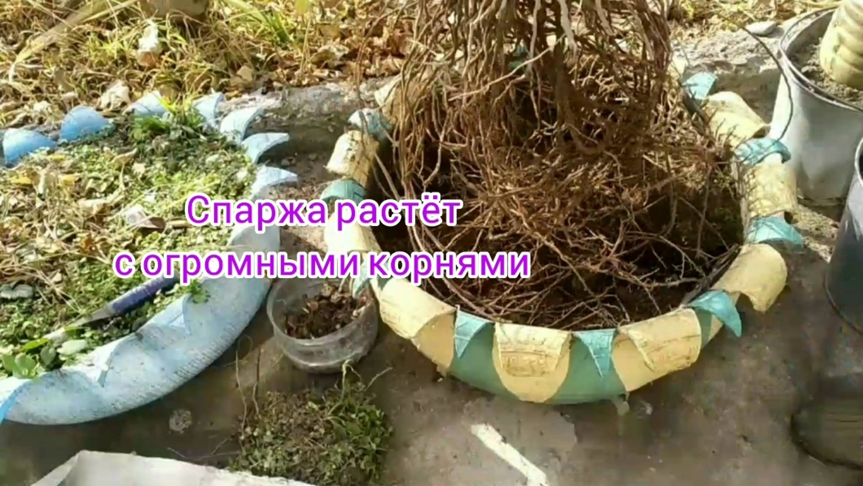 С антистресс🐈работа веселее