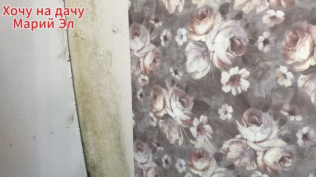 Плесень в квартире. Кто за это отвечает и как с этим бороться!?