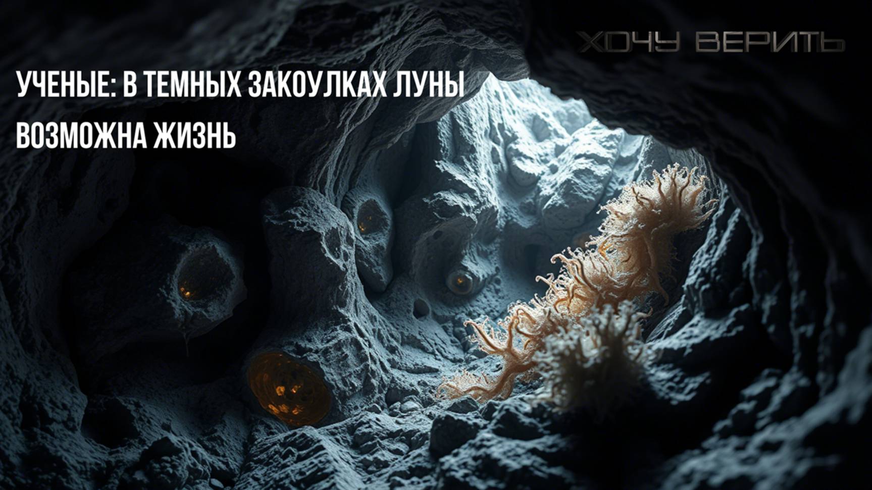 Ученые: в темных закоулках Луны возможна жизнь