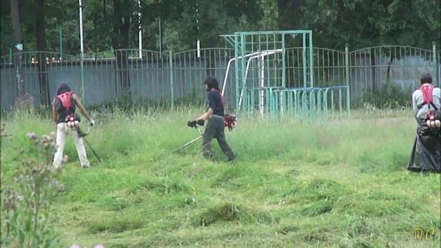 Горе-косари...