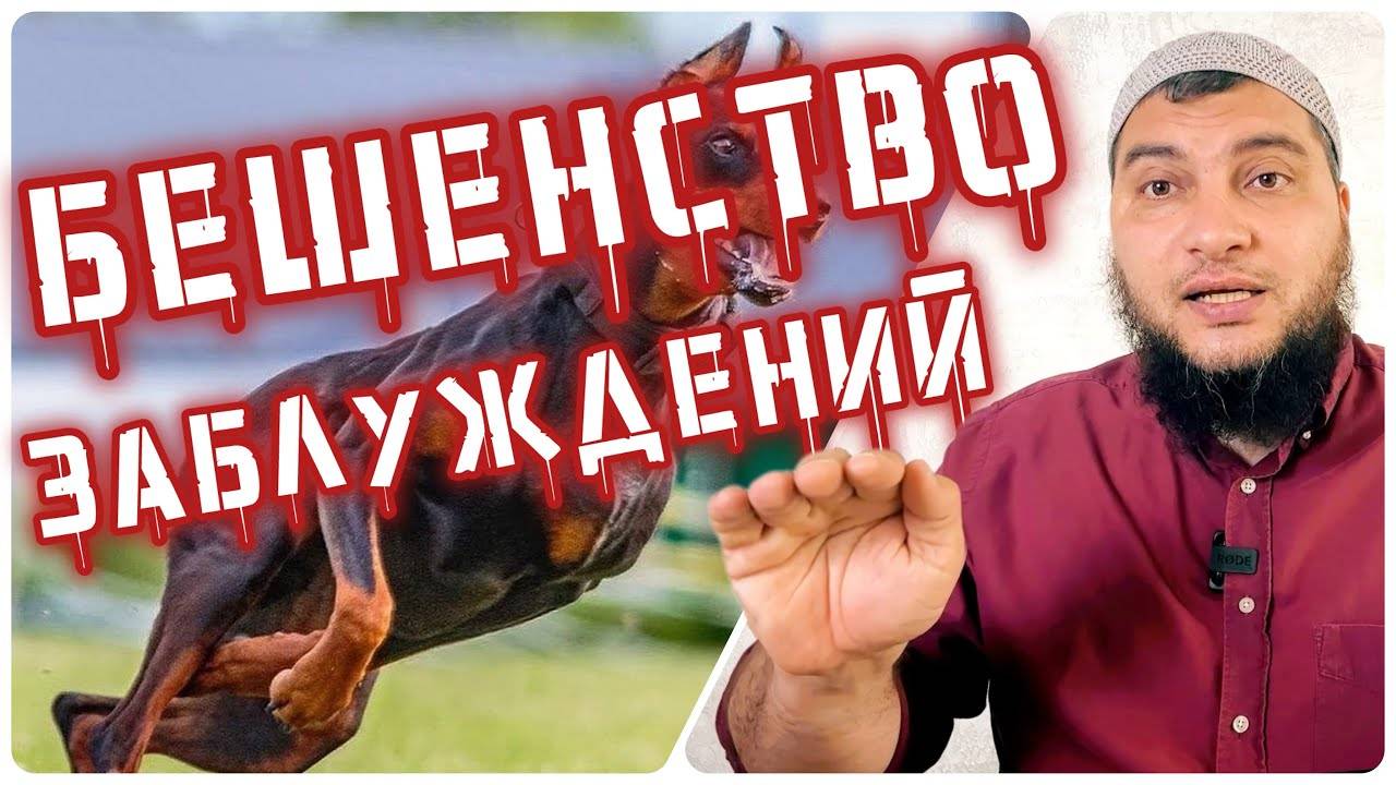 Бешенство заблудших