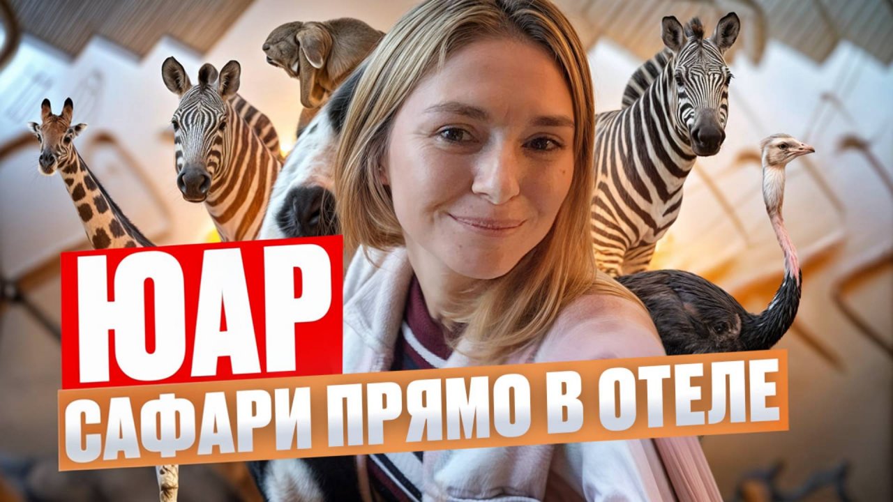 ЮАР. Сафари в ЮАР: дикие животные прямо из такси. Как мы сутки остались без воды и электричества