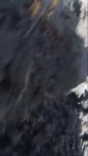 В. Железов. Посадил косточку персика Хасанского - получил два саженца.