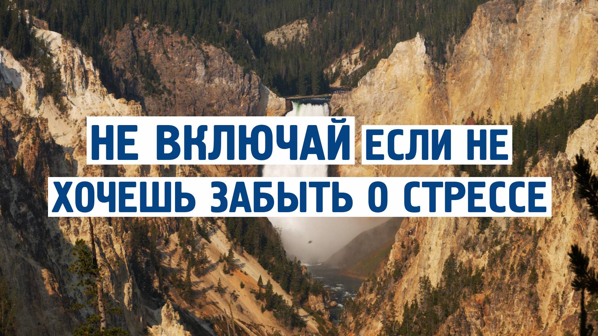 🔴НЕ ВКЛЮЧАЙ, если не хочешь ЗАБЫТЬ о стрессе! Лучшая ASMR-музыка 2025 для мгновенного расслабления