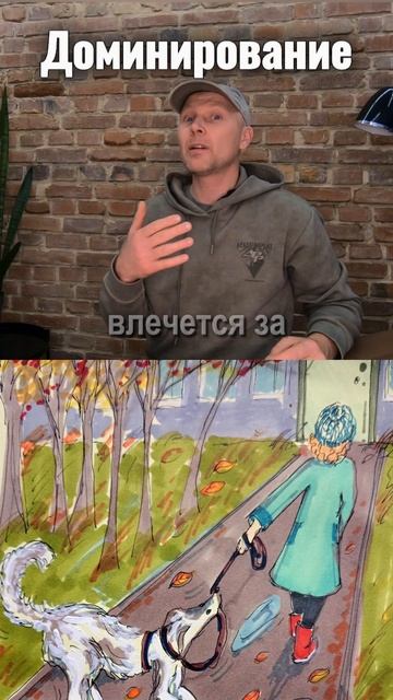 ДОМИНИРОВАНИЕ – это суть и цель ДРЕССИРОВКИ