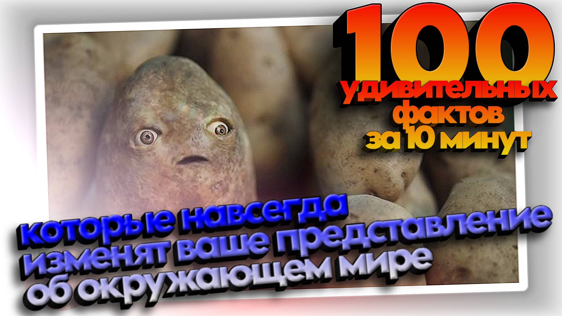 «Удивительное и Невероятное!» 😮 100 ФАКТОВ, которые точно вас заставят задуматься и улыбнуться тоже