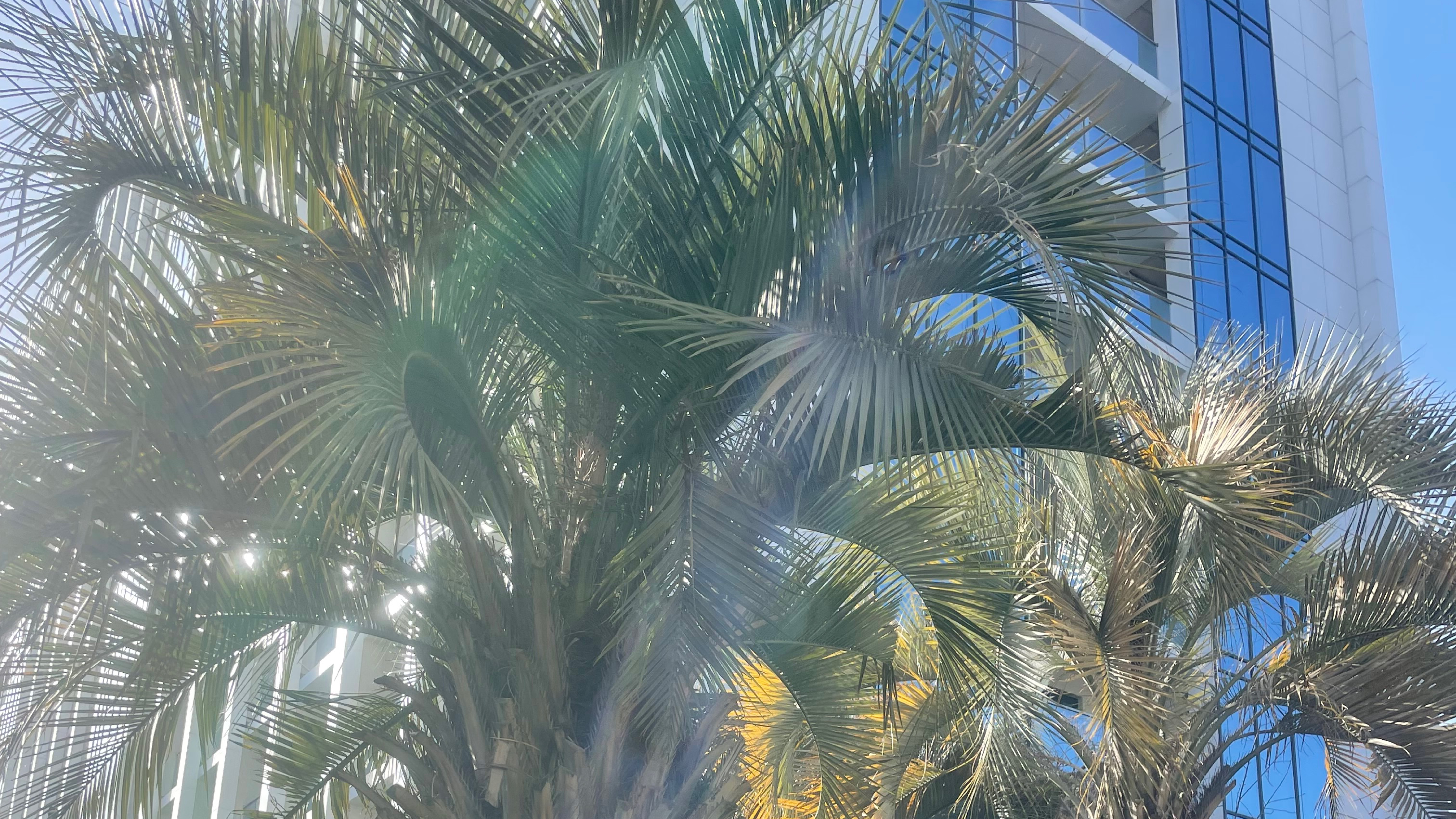 Адлер Неизданное! Почему съехали из Марты? Как Грейс спас наш отпуск!