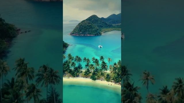 72 Blondie - Maria видеозалипалка