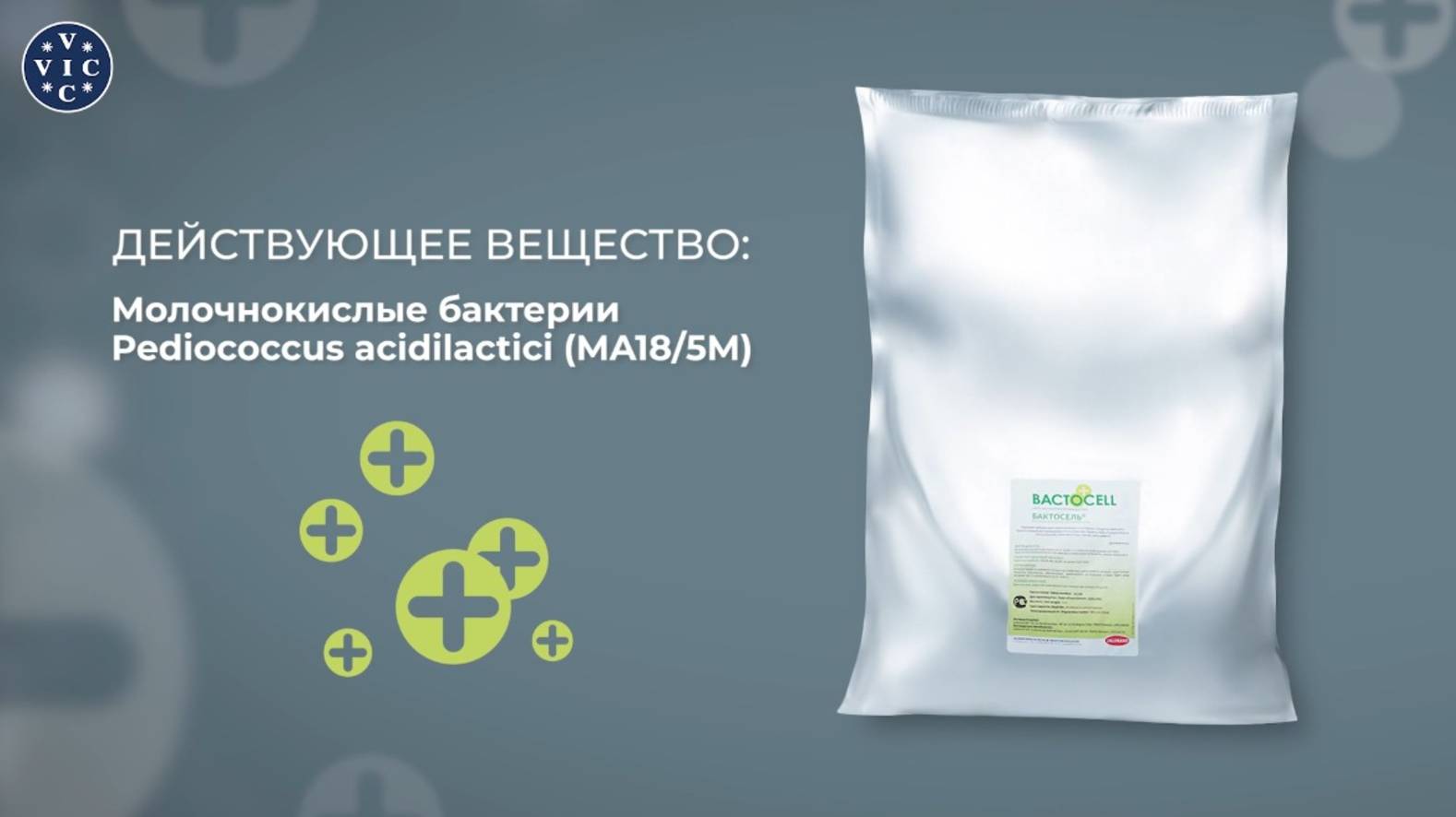 Водорастворимый пробиотик для профилактики заболеваний ЖКТ свиней. Бактосель