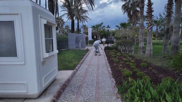 Турецкие кошки и мы)