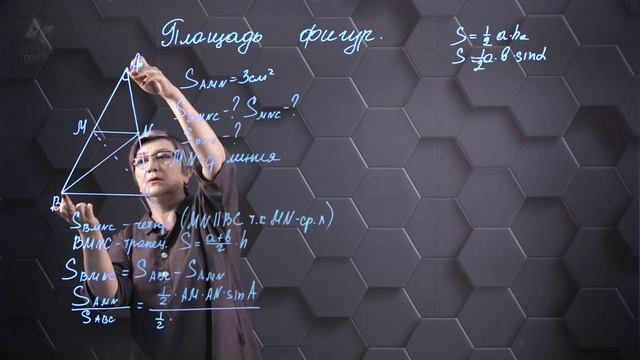 54. Площадь фигур. Практическая часть 1. 8 класс