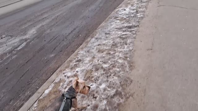 Архив 8.02.25г. Прогулка 🚶_♀️ 🐕 _Творожный_ мукбанг 🧁 Всё...как есть, без прикрас