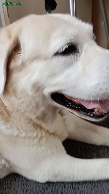 Наблюдатель справа