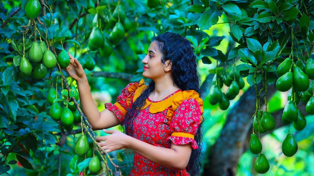 Tons of Creamy Avocados 🥑 Preparing Crunchy Wafer Cakes and Egg Salad with Potato Chips.