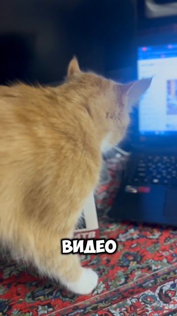 есть у кого?