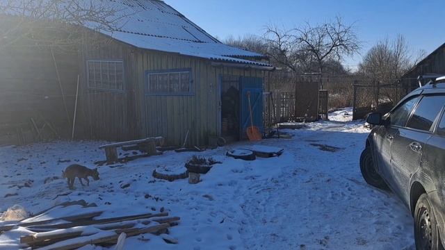 Архив. 22-23.02.25г. Выходные промчались...