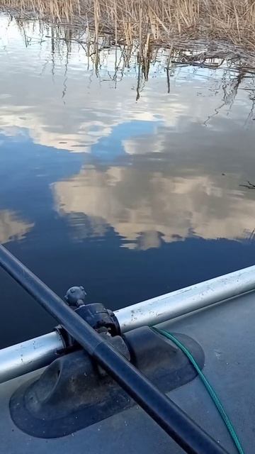 Дали 10 см воды и вот что произошло с клёвом