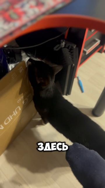 у кого так же?