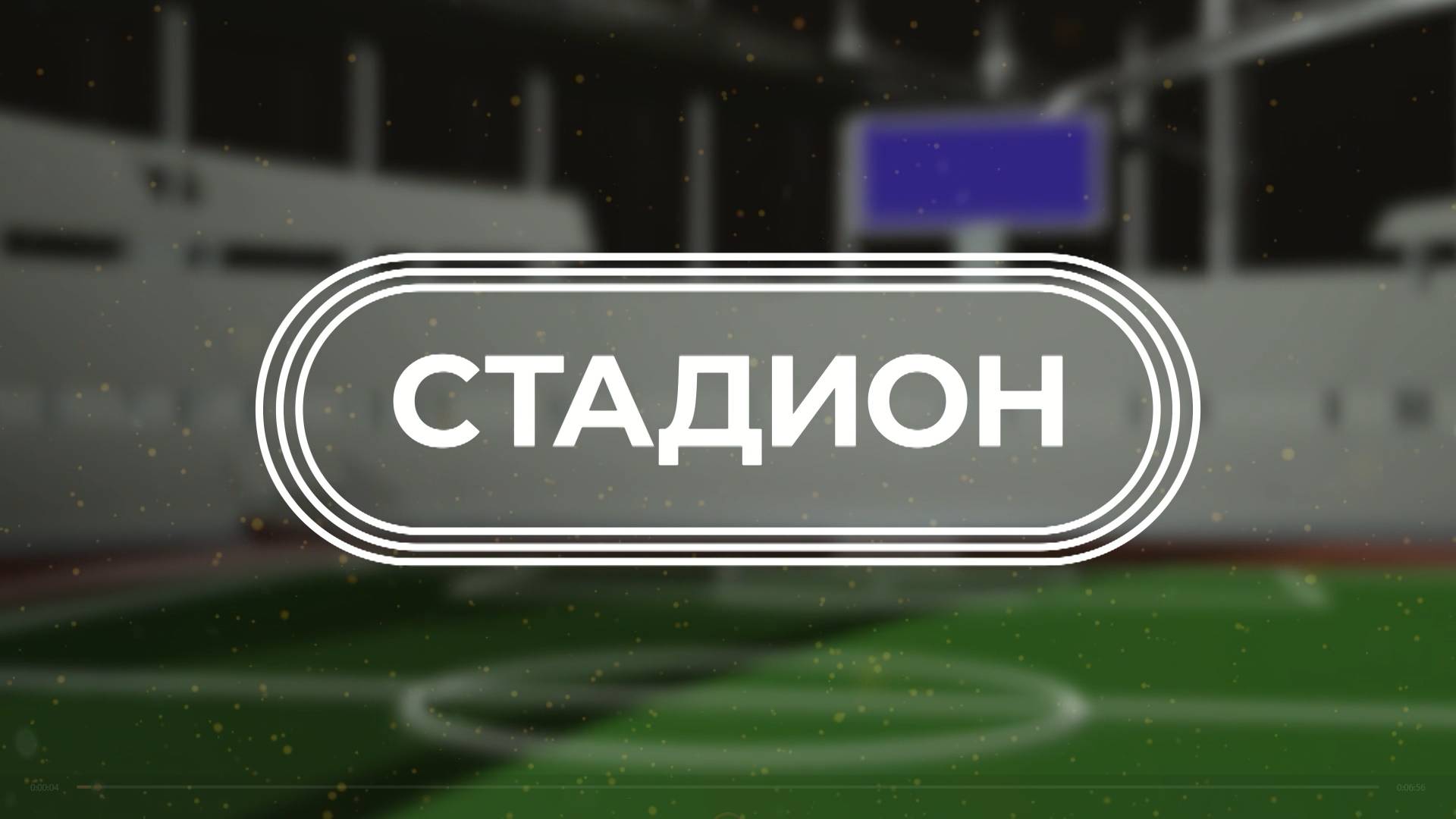 Победы липчанок в боксе и фигурном катании. Неудачи "Металлурга" и "ЛКС-Д"