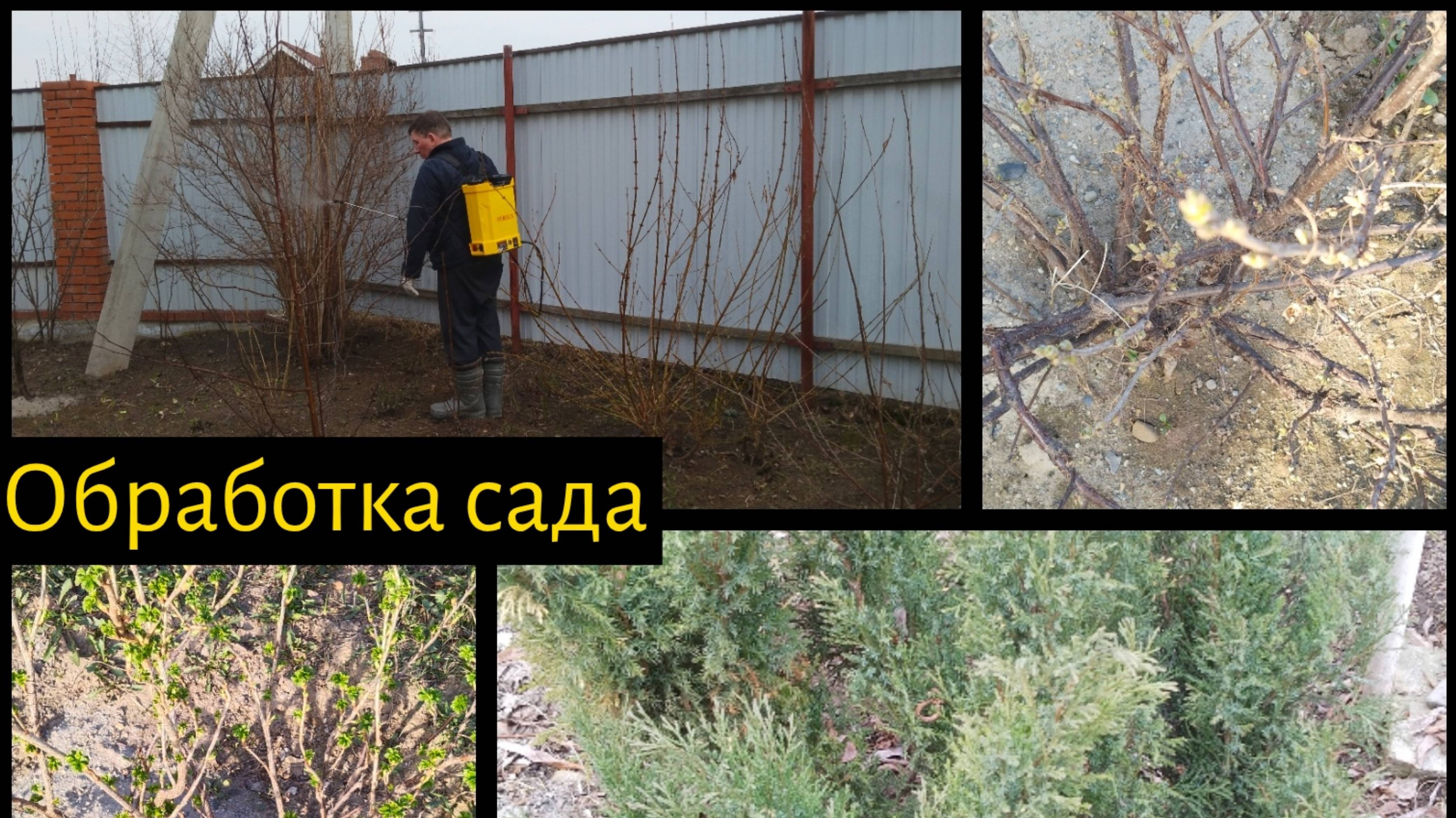 Первая обработка сада. Неожиданности природы. Каких ждать последствий?