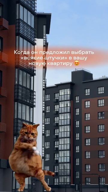 От таких предложений не отказываются!