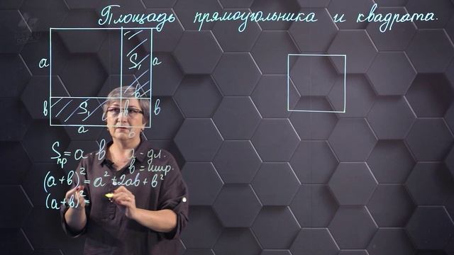 67. Площадь прямоугольника и квадрата. 8 класс