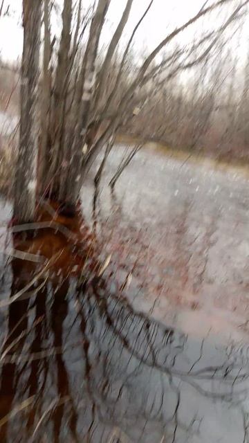 14 апреля 2025 год, первый выезд на рыбалку на горные речки Хабаровского края