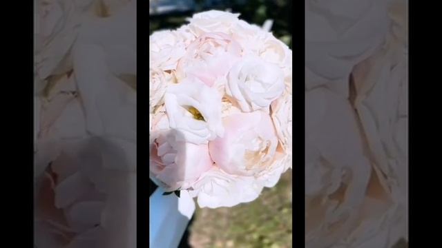 Ринат Такалов - Бөгөн туй