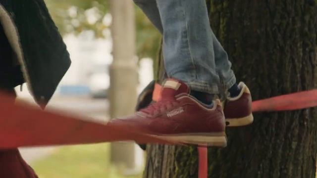 Сибинтек гонки