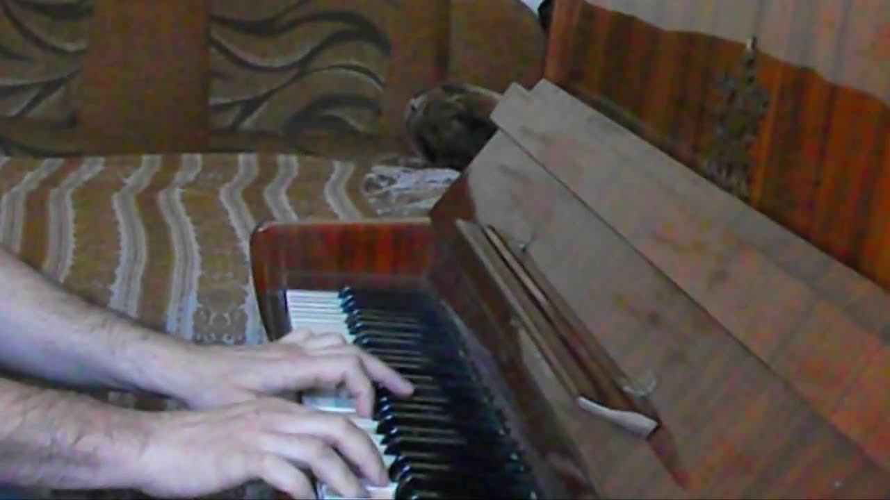 Фея из добрых снов