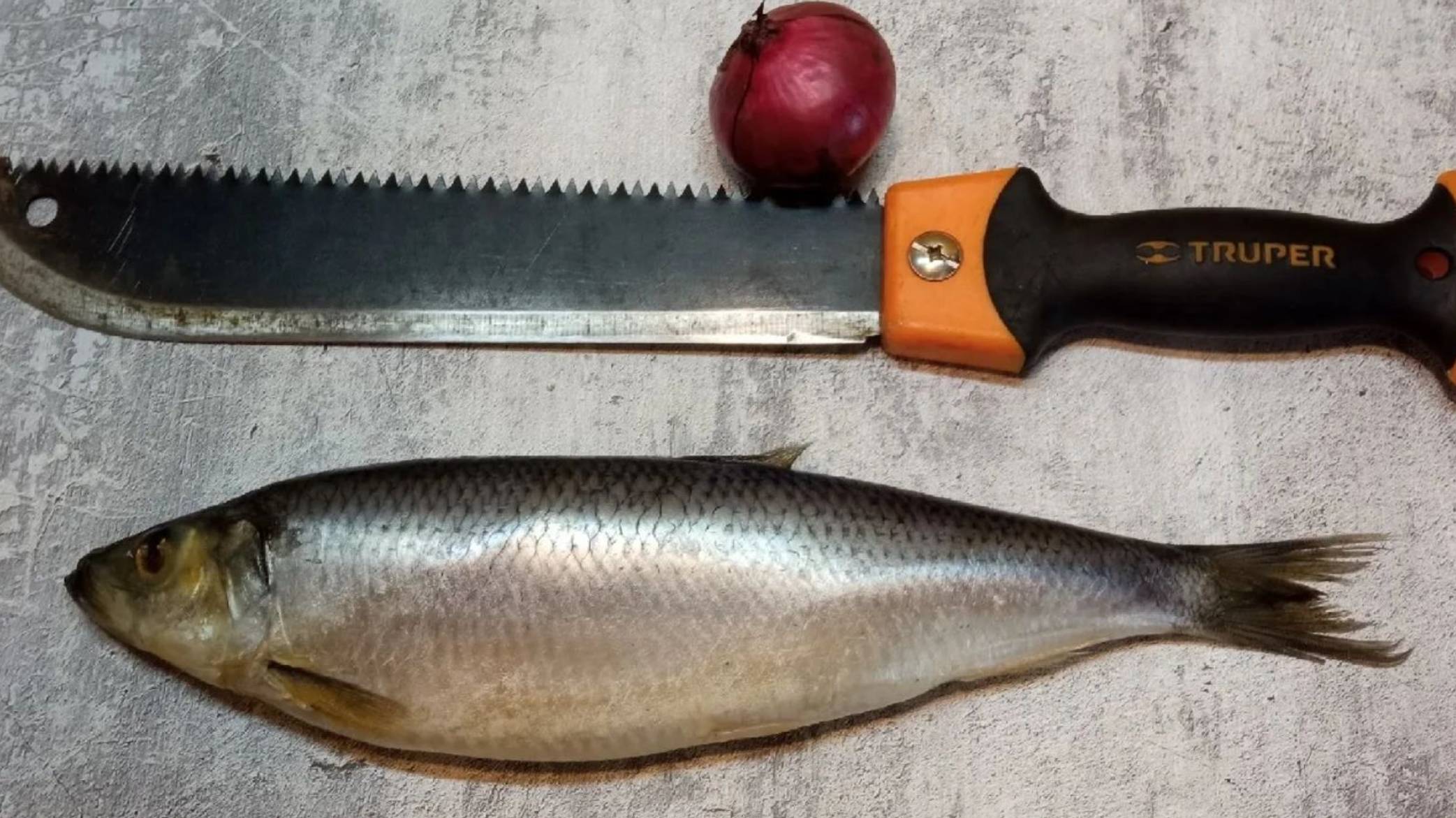 Так чистят селедку в джунглях. Как разделать сельдь на филе, чтобы не задеть желчь