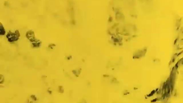 Ninos Du Brasil - Sombra Da Lua