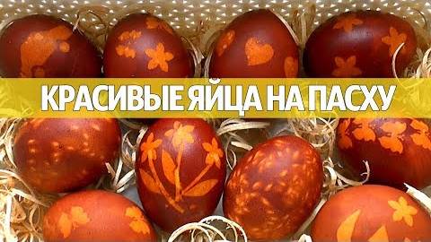 Как КРАСИВО Покрасить Яйца 🥚 БЕЗ ХИМИИ! Два способа покраски яиц! Золотые яйца на Пасху 2025!