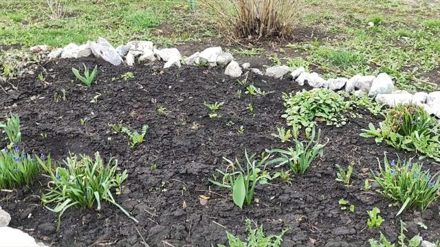 Домашние хлопоты...