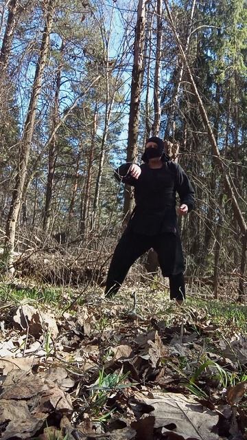 Very Nordic Ninja: Side Kick (17.04.2025) Крайне Северный Ниндзя: Удар Сбоку #VeryNordicNinjaLavinA