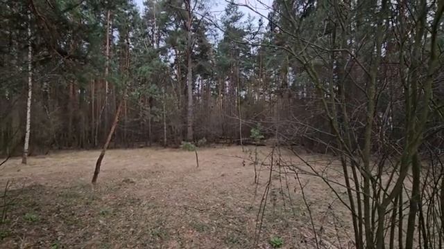 ЯСНОВИДЕНИЕ ДЛЯ РОЗАЛИИ