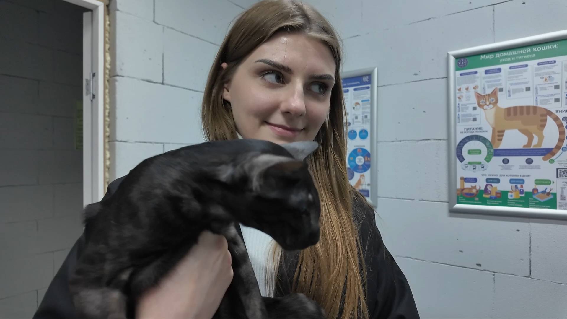 Ветврач рассказала об опасности укусов клещей