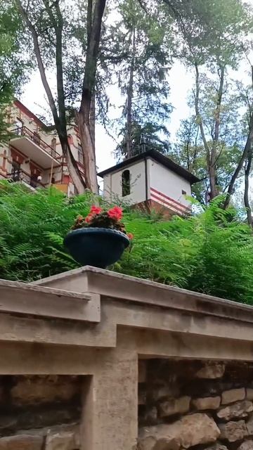 Кисловодск. Городские улочки🔸