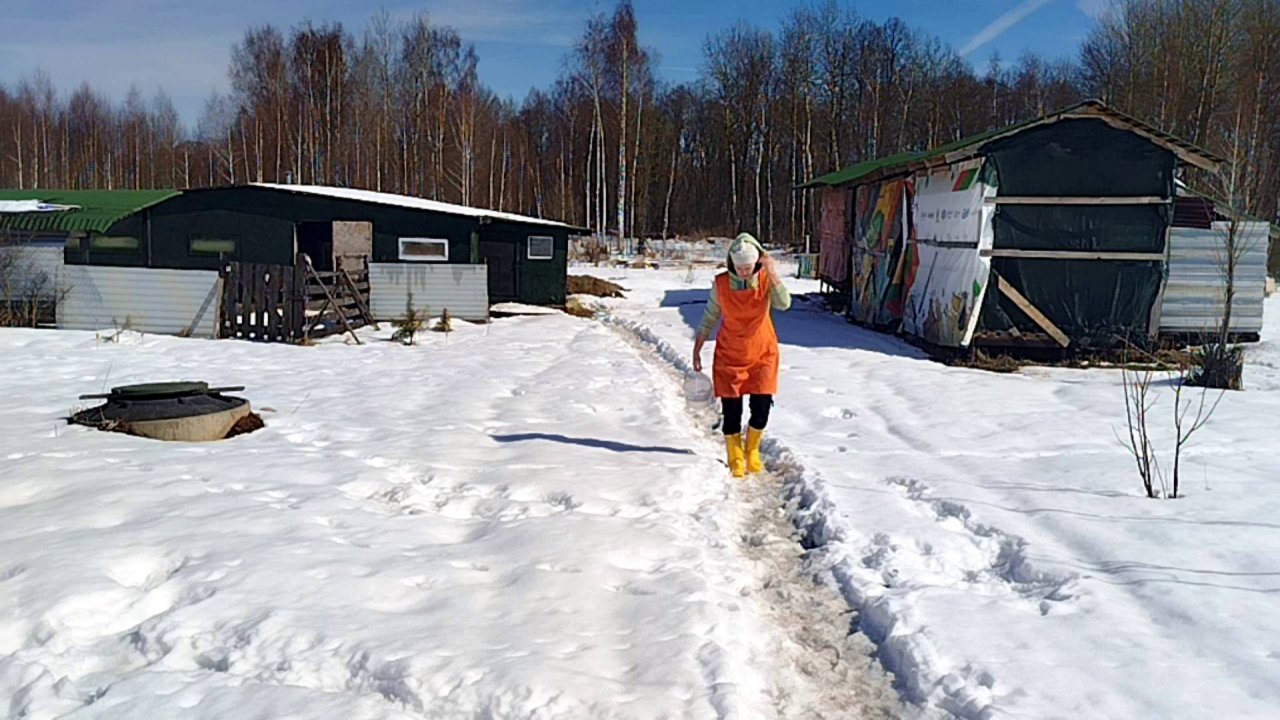 ВОТ ТАК И ЖИВЕМ ПОТИХОНЬКУ🤔🌷🌼