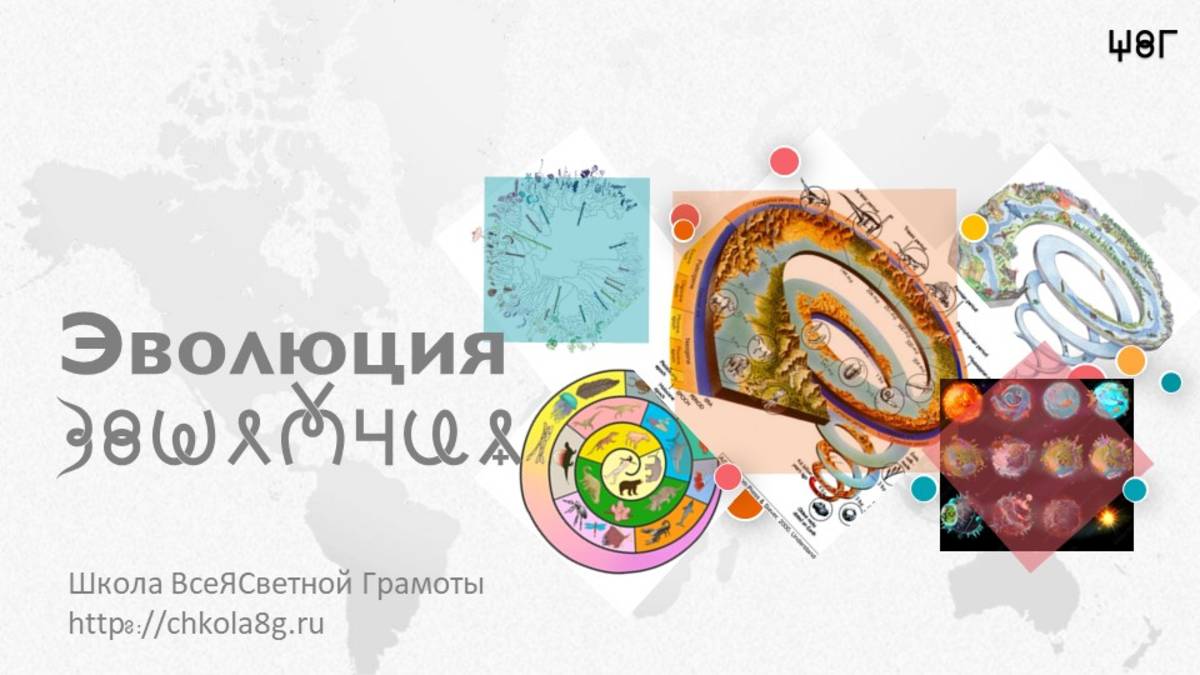 Эволюция. ВсеЯСветная Грамота