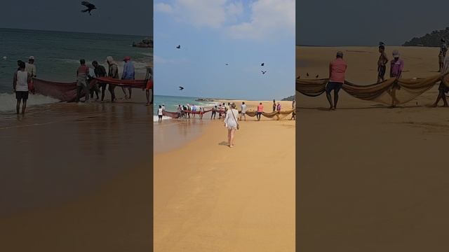 Рыбалка на Шри-Ланке