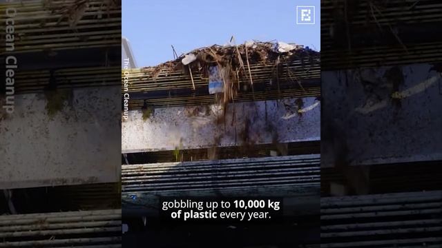 способы очистки океана от мусора