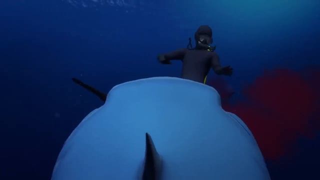 Shark attack victim James Grant stabs shark, stitches himself up, then goes for beer