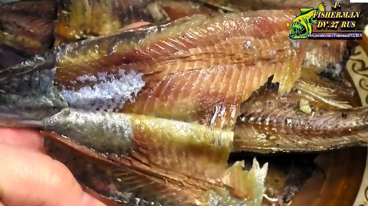 Весна пришла, а это значит самое время вялить селедку из магазина! отличный рецепт вкусной селедки