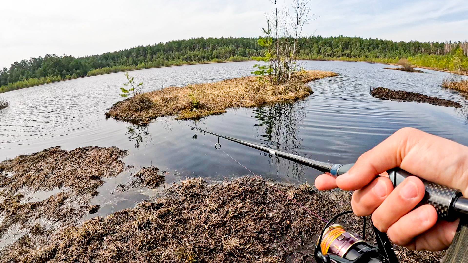 ТАКОЕ Я ЕЩЁ НЕ ЛОВИЛ! Рыбалка в ЧЁРНОЙ ВОДЕ на болоте на спиннинг в апреле