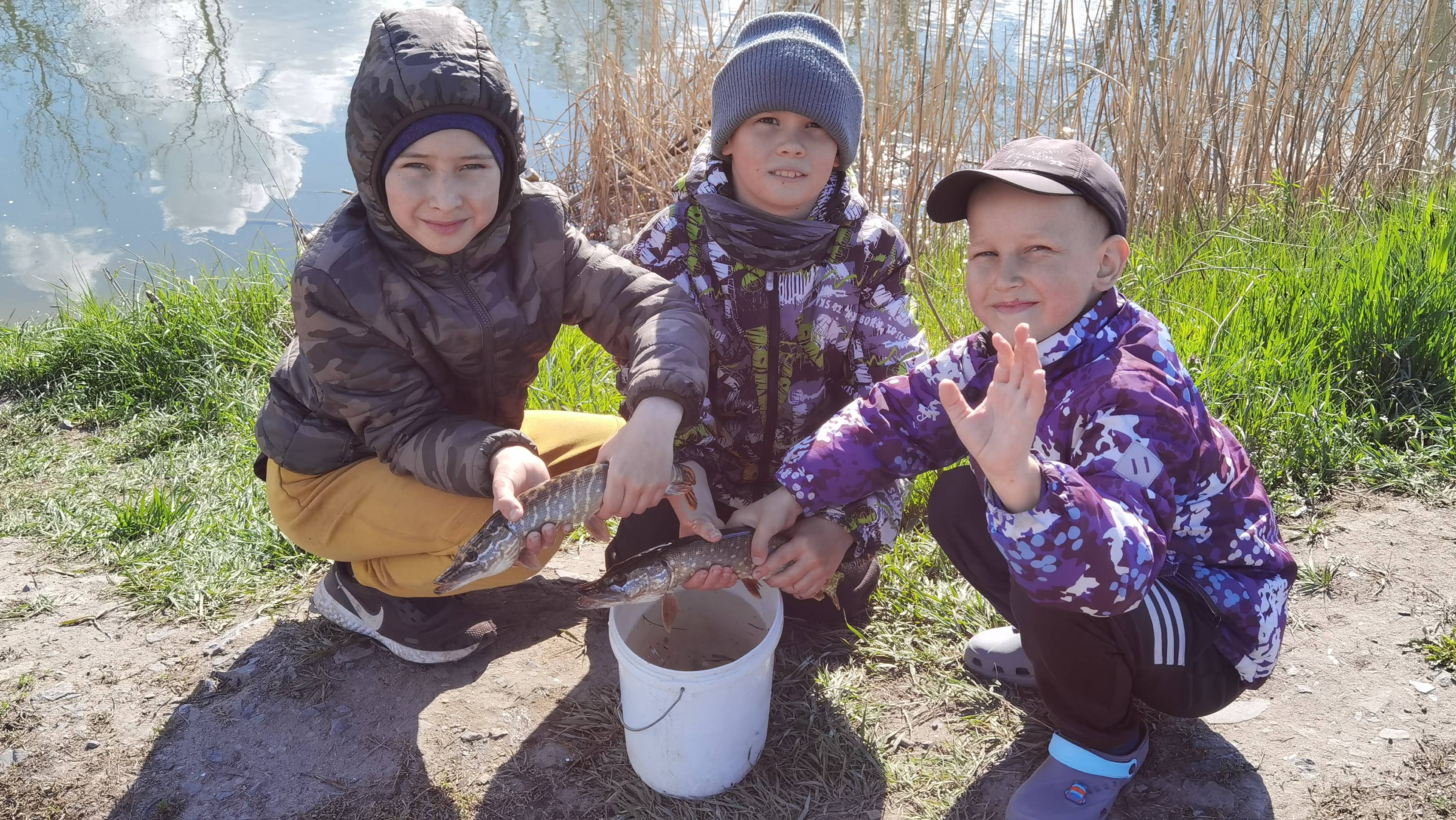 История о том как мы в Ростовской люксовой гостинице щуку жарили ))